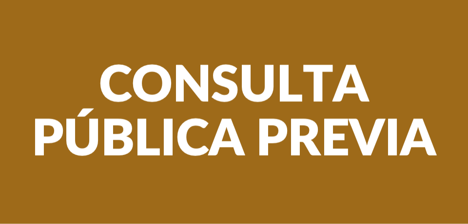 Consulta pública previa